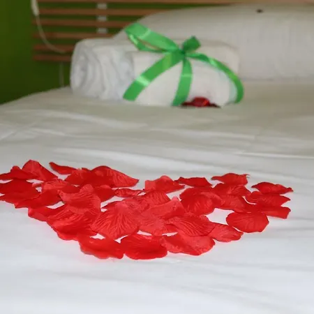 Gaudium Colosseo Bed and breakfast Roma
